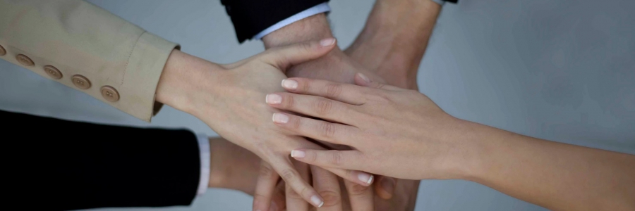 新型コロナウイルスの影響により国際スタディツアーを中止いたします